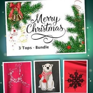 Coldwater Creek Christmas Long Sleeve Tee Bundle Lot Size 1X                (BB)